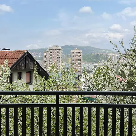 Behar With View